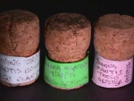 Corks 3