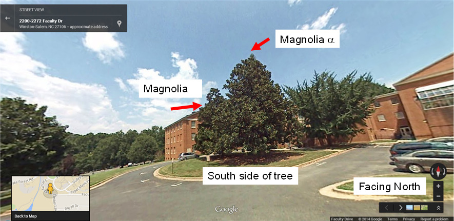 Samples are gathered from the back of Winston Hall, WFU