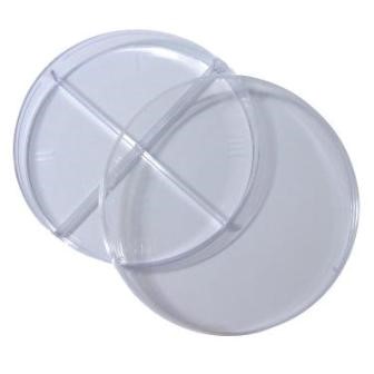 Quad Petri Dishes
