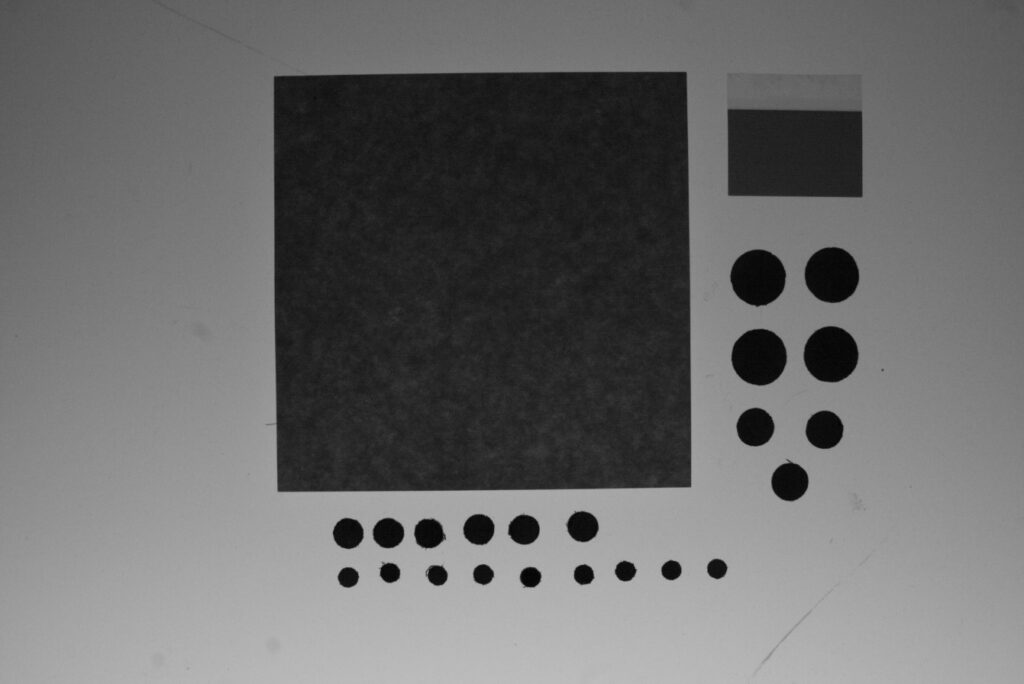 Leaf disks produced by a set of four cork borers. A large post-it note (7.5 cm2); A small post-it note (1.5 x 2.5 cm); 4 x 5.0 mm cm radius discs; 3 x 3.5 mm; 6 x 2.5 mm; 9 x 2.0 mm